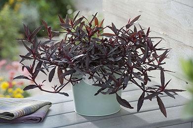 Krafton西部背景新游《Kill the Crows》发布试玩版